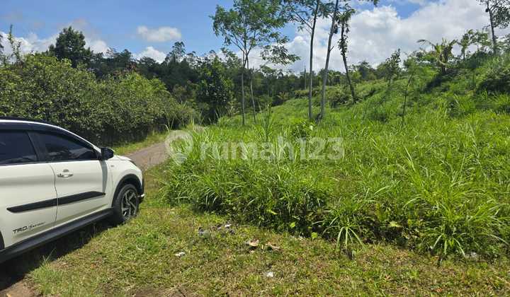 Pasti Deal Di Jual Tanah Lokasi Desa Besakih Banjar Kunyit Klungkung Bali 