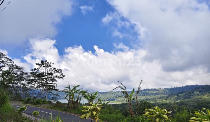 Pasti Deal Di Jual Tanah Lokasi Munduk Buleleng Bali 