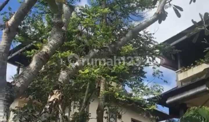Pasti Deal Di Jual Villa Lokasi Ungasan Kuta Selatan Badung Bali 