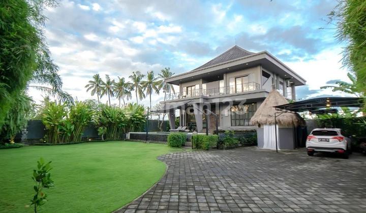 Certainly Deal, Villa for Sale with Rice Field View, Location Mas Ubud, Gianyar, Bali.