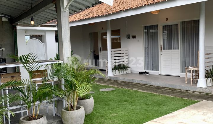 Pasti Deal di Jual Guesthouse Dekat Pantai Lokasi Subak Canggu Badung Bali Pasti Deal di Jual Guesthouse Dekat Pantai Lokasi Subak Canggu Badung Bali