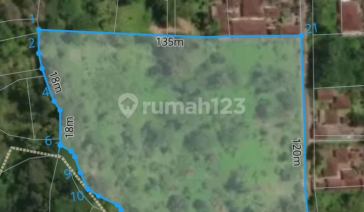 Pasti Deal Di Sewakan Tanah Lokasi Tampaksiring Gianyar Bali 