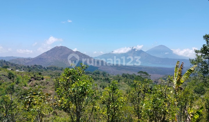 Pasti Deal Di Jual Tanah View Gunung Batur Lokasi Kintamani Bangli Bali 