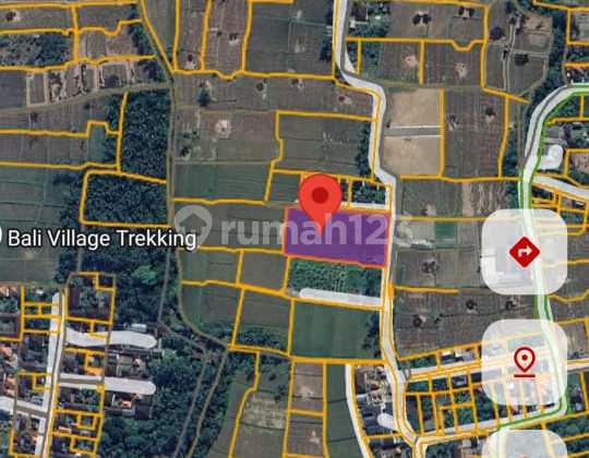 Deal on Sale of Land on Jalan Sutami, Kemenuh, Ubud, Gianyar Deal on Sale of Land on Jalan Sutami, Kemenuh, Ubud, Gianyar
