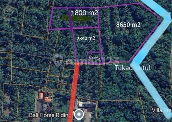 Pasti Deal Di Jual Tanah Loss Sungai View Laut Lokasi Saba Gianyar Bali Pasti Deal Di Jual Tanah Loss Sungai View Laut Lokasi Saba Gianyar Bali