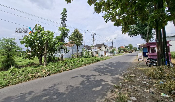 Vacant Land for Sale or Rent, Bolon area.