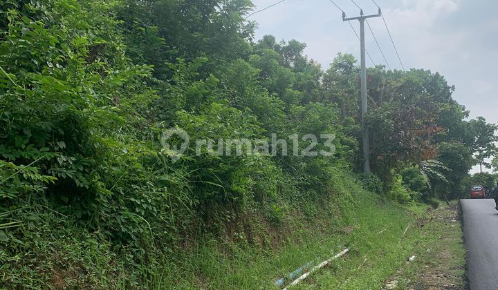 Tanah Di Jalan Raya Waduk Jatiluhur Purwakarta