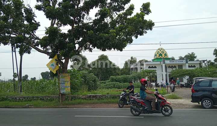 Commercial Land by Pegaden Main Road - Subang Regency