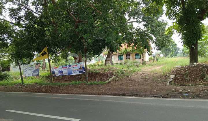 Commercial Land by Pegaden Main Road - Subang Regency