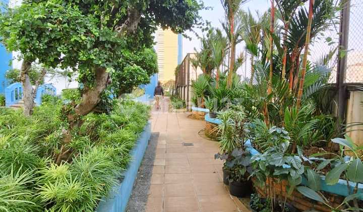 Green Central Gajah Mada Apartment Central Jakarta 2