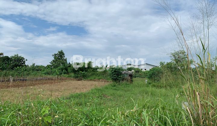DIJUAL TANAH DI GUNUNG PUTRI BOGOR DIJUAL TANAH DI GUNUNG PUTRI BOGOR