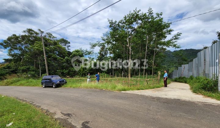 DIJUAL SEBIDANG TANAH DI SUKAMAKMUR, BOGOR