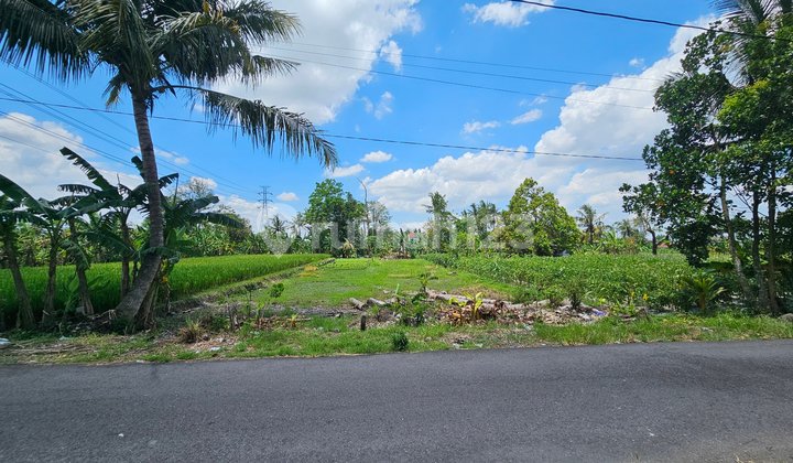 Tanah Murah Strategis Jl.kaliurang KM 9 Sinduharjo Ngaglik Sleman