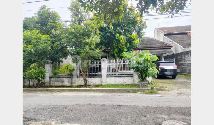 TANAH SHM PEKARANGAN JALAN BENER JOGJA KOTA 8 MENIT KE TUGU JOGJA TANAH SHM PEKARANGAN JALAN BENER JOGJA KOTA 8 MENIT KE TUGU JOGJA