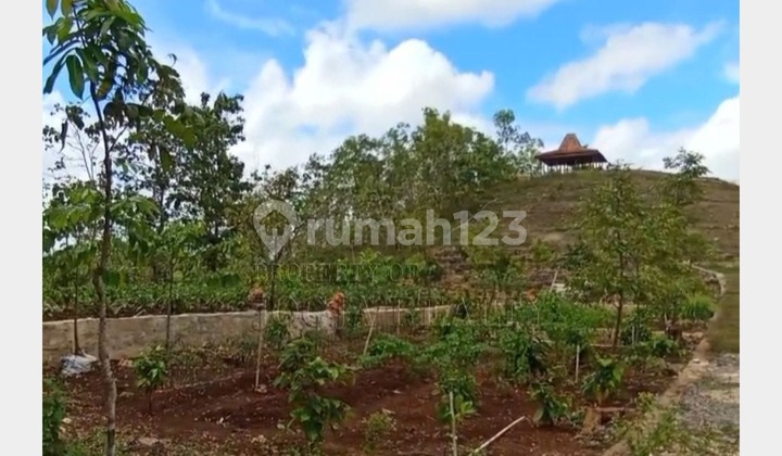 Tanah SHM View Cantik Kota Wonosari Dekat Kampus Uny Wonosari