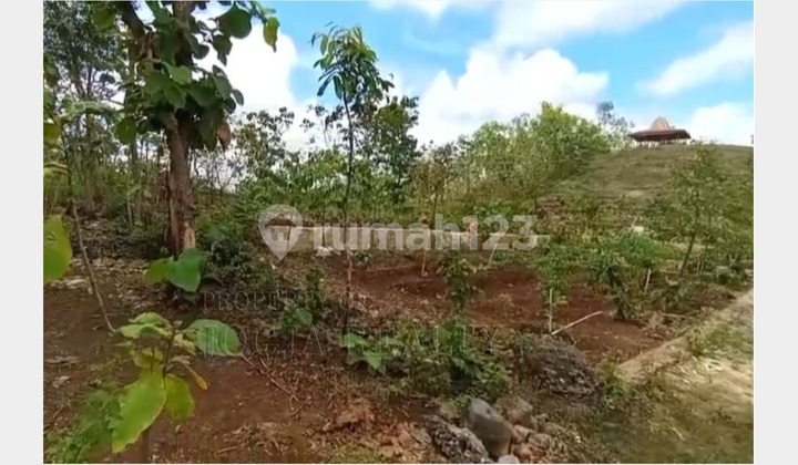 Tanah SHM View Cantik Kota Wonosari Dekat Kampus Uny Wonosari