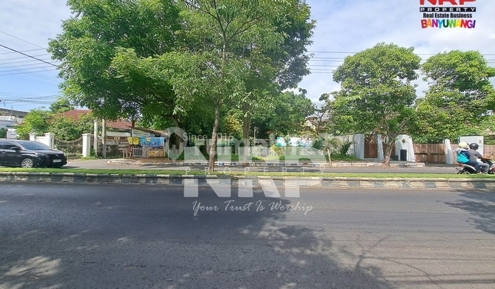Disewakan Tanah Strategis Pinggir Jalan Raya Brawijaya Banyuwangi Luas 1520 M2 Disewakan Tanah Strategis Pinggir Jalan Raya Brawijaya Banyuwangi Luas 1520 M2