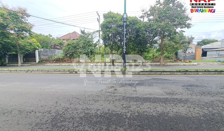 Disewakan Tanah Pinggir Jalan Cocok untuk Gudang dan Tempat Usaha di Jl. Gajah Mada Giri Banyuwangi Disewakan Tanah Pinggir Jalan Cocok untuk Gudang dan Tempat Usaha di Jl. Gajah Mada Giri Banyuwangi