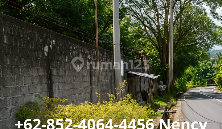 Land Plus Swiftlet Nest in Kalasey Easy Access & Strategic Location