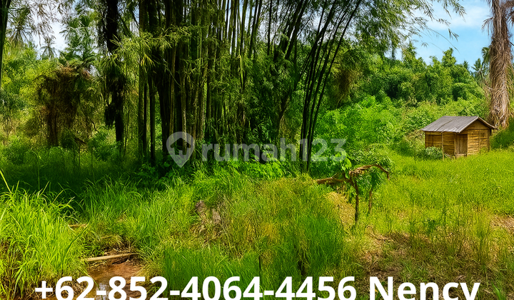 Premium Plot of Land in GPI Housing Estate Manado Premium Plot of Land in GPI Housing Estate Manado