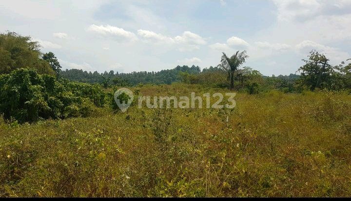 Tanah tembus pantai Cocok Buat Pariwisata