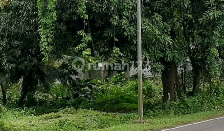 Tanah 7 Hektar Strategis di Jl. Manado Bitung