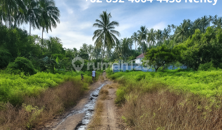 Tanah Murah SHM di Kairagi Manado cocok investasi Tanah Murah SHM di Kairagi Manado cocok investasi