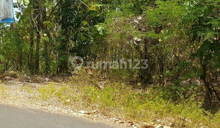 Tanah tembus pantai Cocok Buat Pariwisata