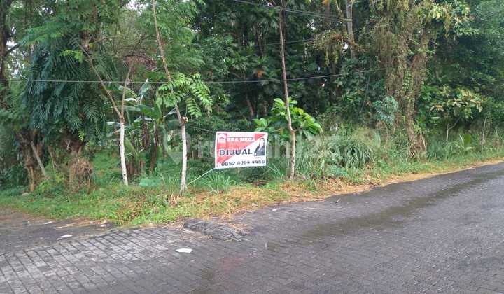 Tanah di Kalasey Cocok untuk Gudang, Tempat Usaha