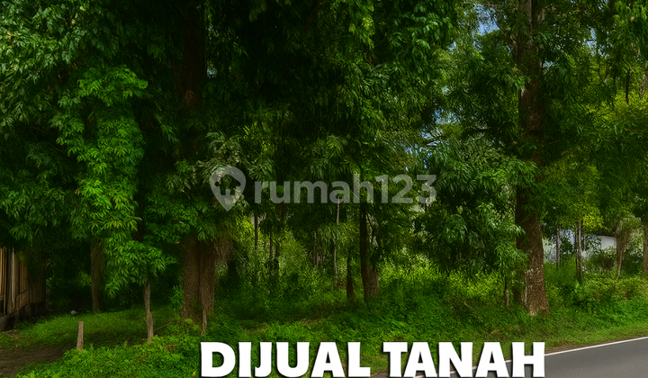 Tanah 7 Hektar Strategis di Jl. Manado Bitung