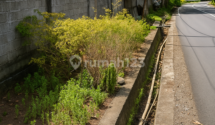 Land Plus Swiftlet Nest in Kalasey Easy Access & Strategic Location