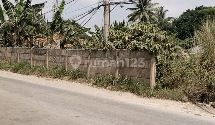 Land for Sale 1 Ha Beside Parung Panjang Main Road, Legok Tangerang