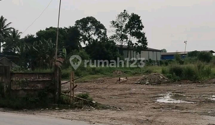 Land for Sale 1 Ha Beside Parung Panjang Main Road, Legok Tangerang