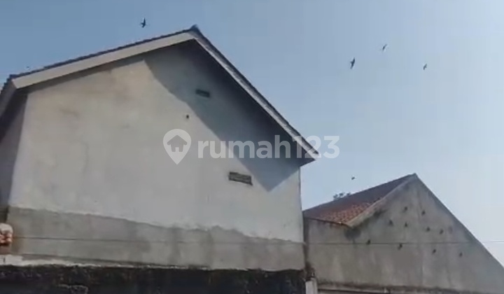For Sale: Land with Bonus Active Swallow House in Kragilan Serang Banten