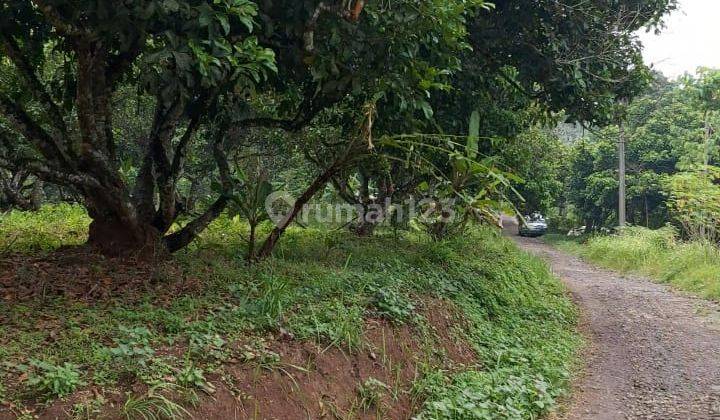 Dijual Tanah Bagus Murah Ro.250rb / M2. 1 Km Dari Area Perumahan Citra Maja Raya (grup Ciputra) Dan 2 Km Dari Perumnas Program 3 Juta Rumah. di Kantor Desa, Jl. Kampung Cibubur, Cipining, Curugbitung, Lebak, Banten, Indonesia, 42381, Curugbitung 1