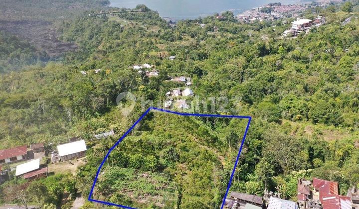 Beautiful Land Plot in Bali