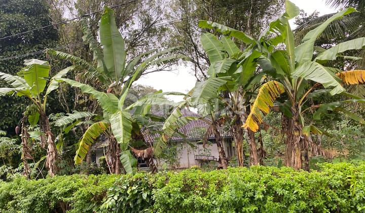 For Sale Rumah dan Tanah Sangat Luas View Gunung Ijen Udara yang Bagus