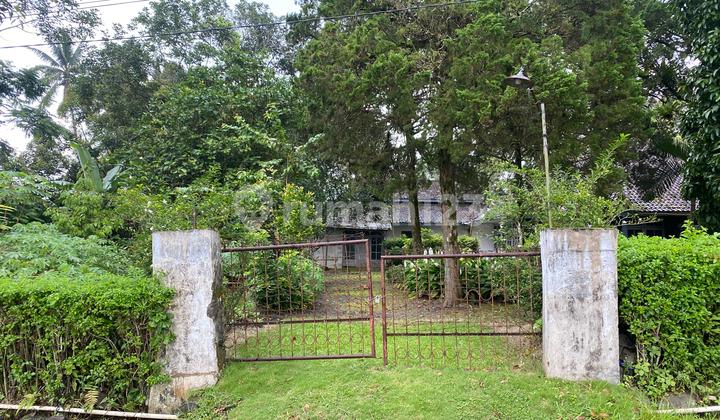 For Sale Large House and Land with Great View of Mount Ijen, Fresh Air 2