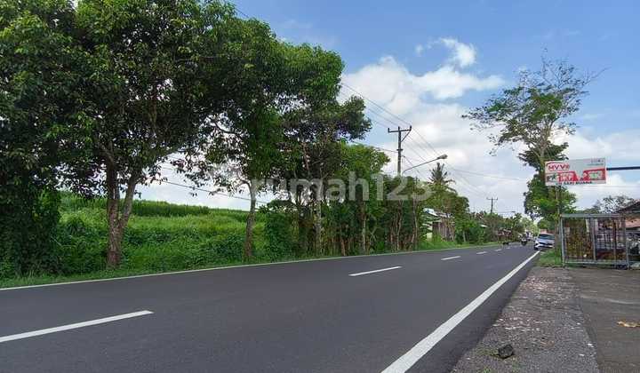 Tanah Pinggir Jalan Utama View Sawah & Pohon Kelapa di Blahkiuh Tanah Pinggir Jalan Utama View Sawah & Pohon Kelapa di Blahkiuh