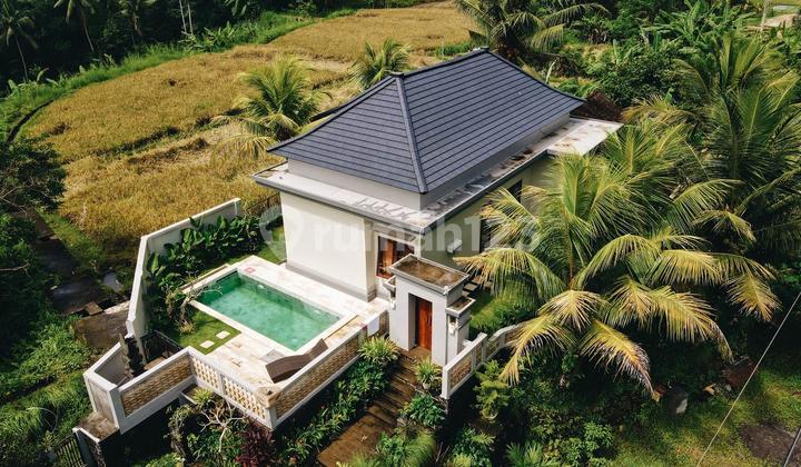 VILLA UBUD READY 2BR VIEW RICEFIELD SUASANA DESA DI UBUD BALI