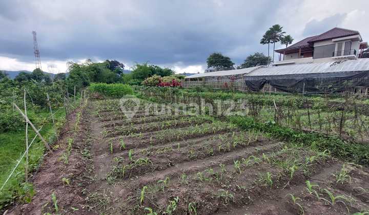 Cheap Land in Bulukerto Batu
