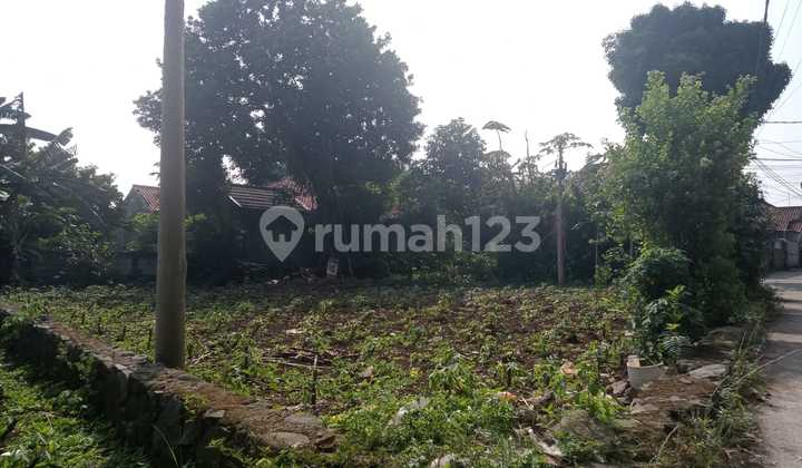 8 Menit Cibinong City Mall Kavling Strategis Free SHM