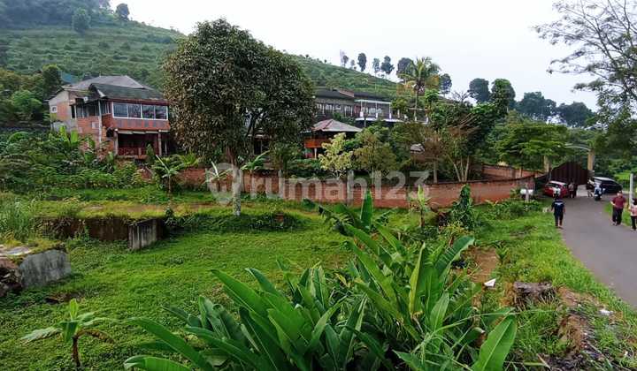 6 Menit Jalan Raya Cijeruk Kavling Potensial Harga Murah Free SHM 6 Menit Jalan Raya Cijeruk Kavling Potensial Harga Murah Free SHM