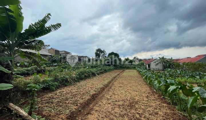 Strategic Land Plot 10 Minutes to Cilebut Station Free SHM