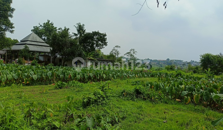 Kavling Strategis 12 Menit Ipb Dramaga Diskon 15Jt