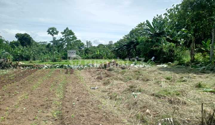 15 Minutes Pamulang Toll Gate Strategic Plot Freehold Title