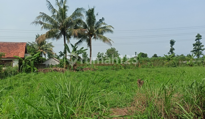 9 Menit Stasiun Cilebut Tanah Kavling Strategis Lokasi Prospektif Free SHM 9 Menit Stasiun Cilebut Tanah Kavling Strategis Lokasi Prospektif Free SHM