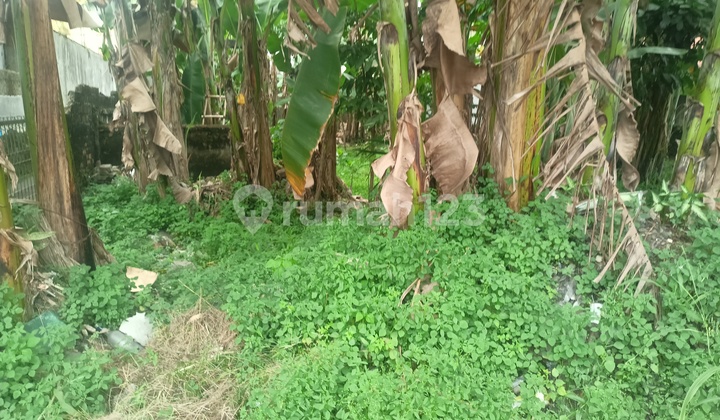 Kavling Pusat Kota Bogor Cocok untuk Investasi Free SHM 3 Menit Stasiun Bogor