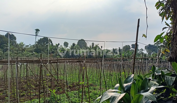 Plot of Land with SHM 1Jt-An View of Mount Salak Strategic Location Plot of Land with SHM 1Jt-An View of Mount Salak Strategic Location