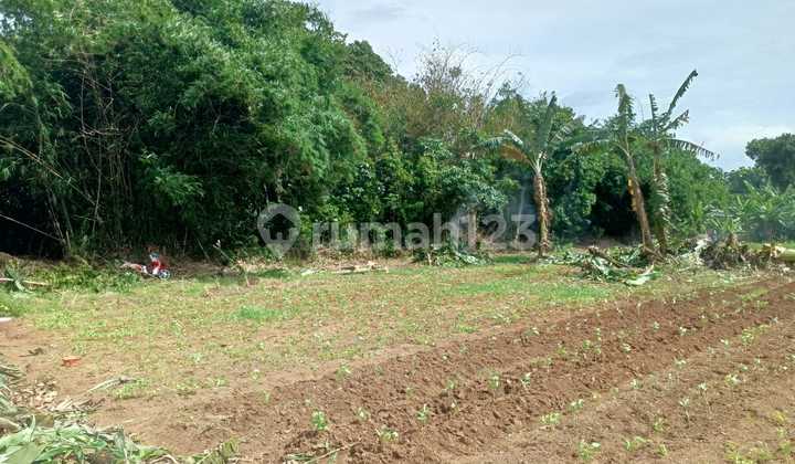 Lot 15 Minutes from Pamulang Toll Gate, Freehold SHM